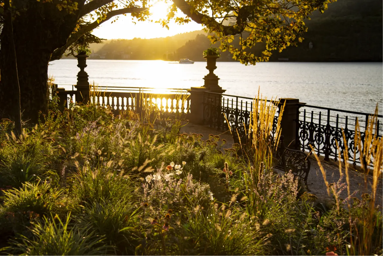 Giardino al tramonto