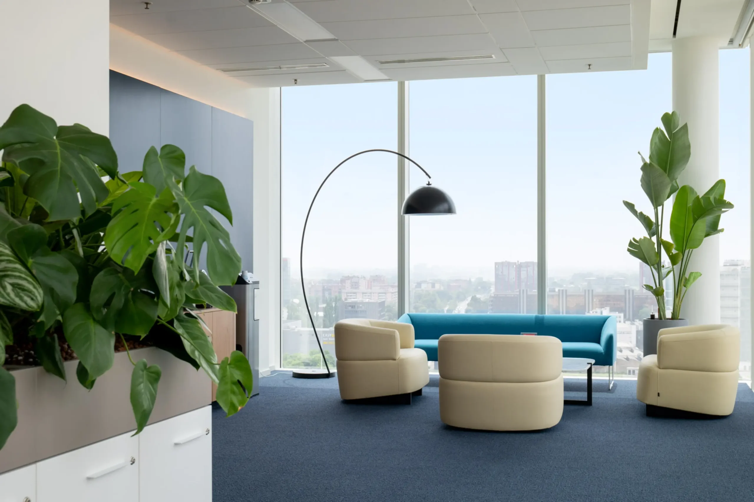 Ambiente green