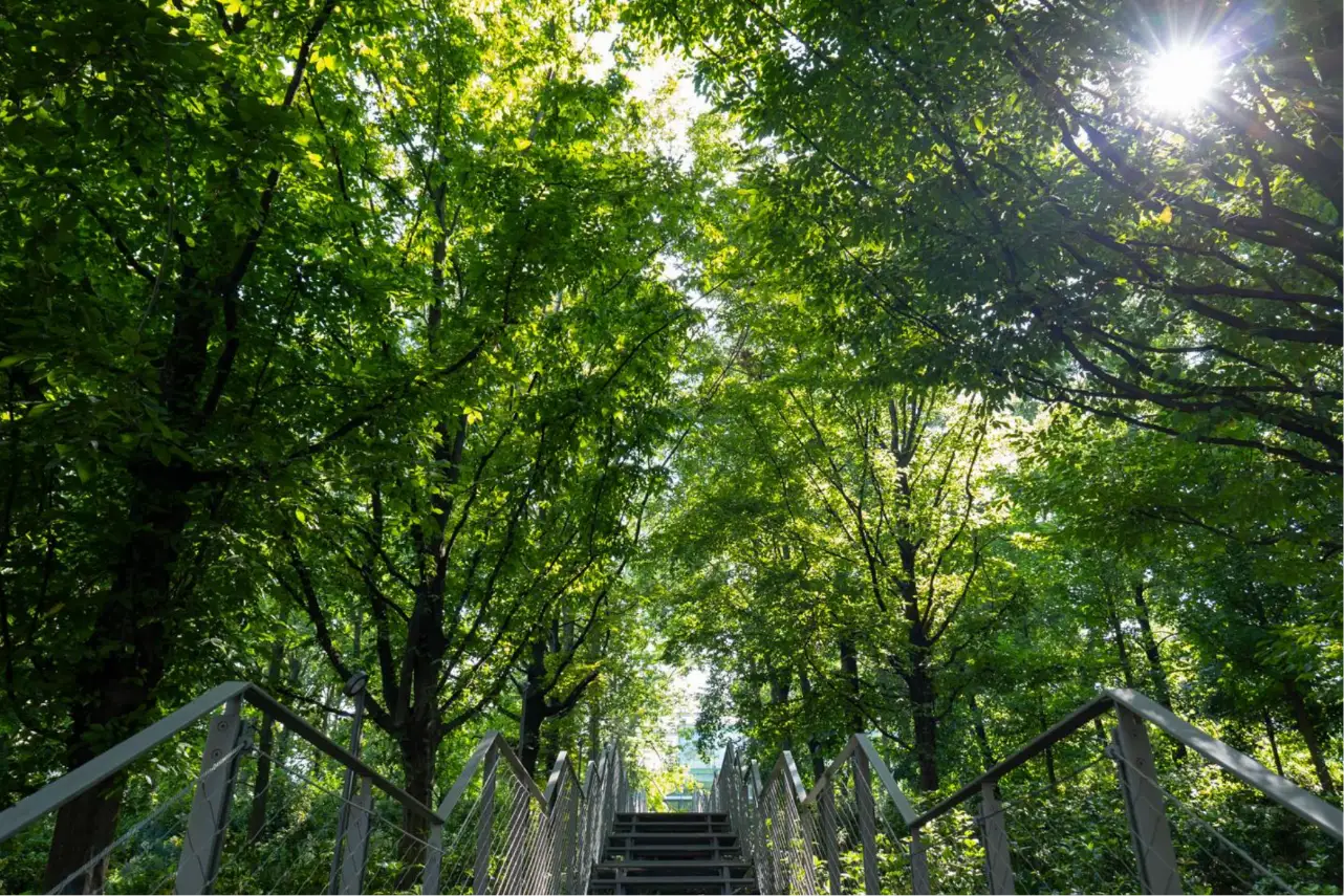 Ambiente green