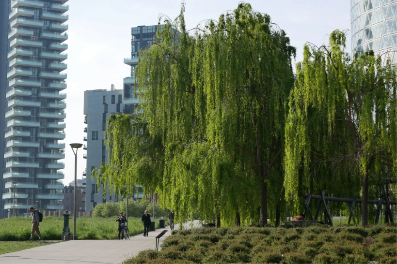 <p>BAM Milano: quando il paesaggio diventa cultura urbana</p>

