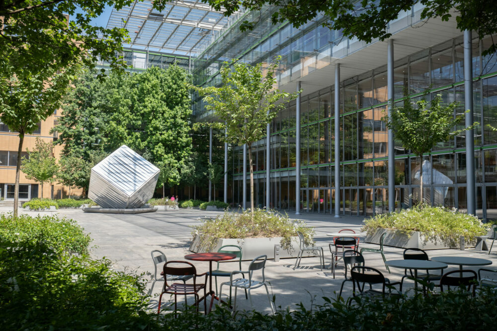 <p><strong>Le aree specifiche del progetto</strong></p>
<p>La piazza e i boschetti urbani</p>
