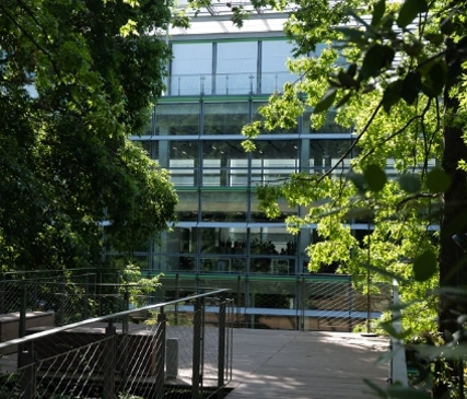 Biofilia