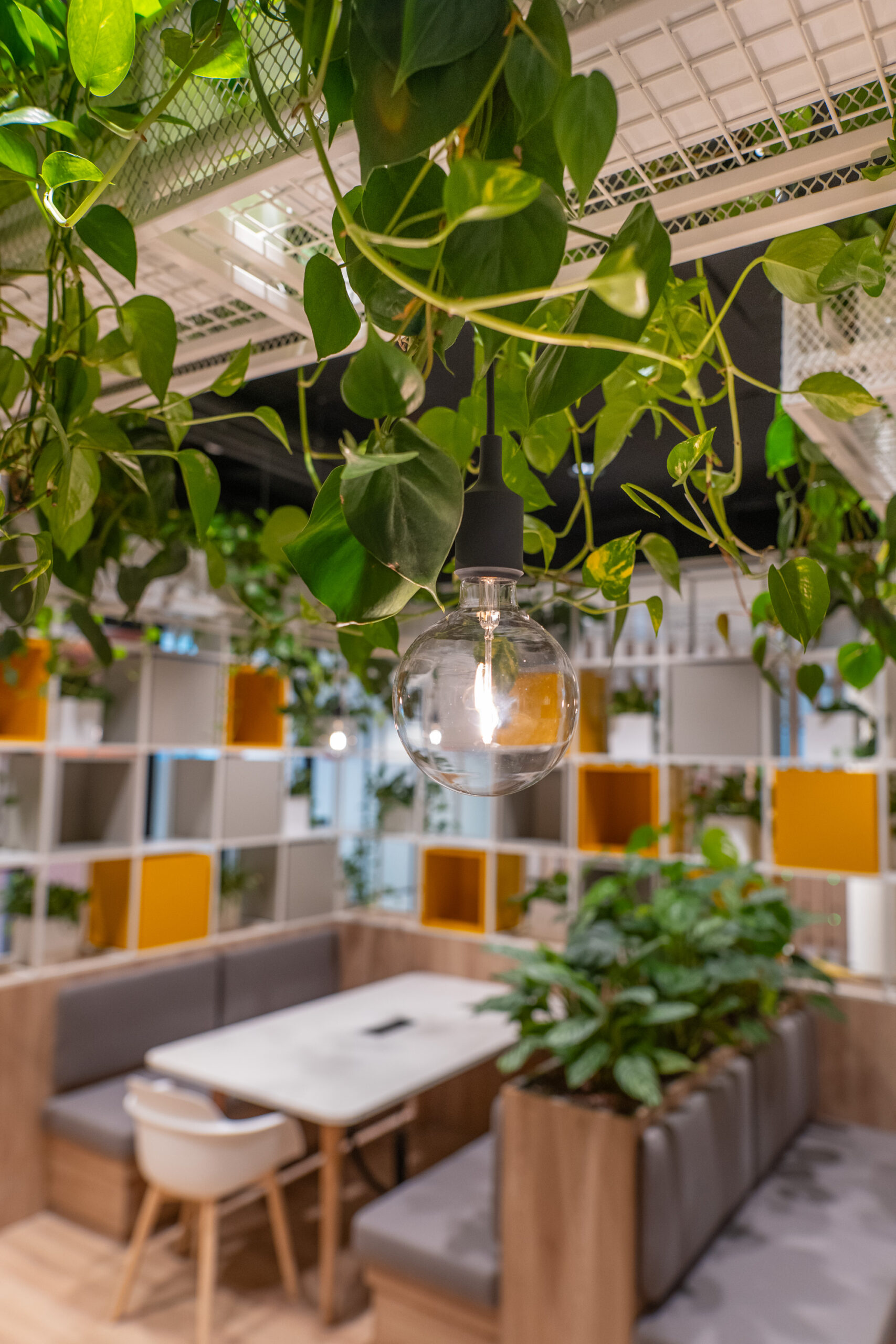 <p>Uffici Sanofi a Milano: un paesaggio vegetale che accompagna il workplace</p>